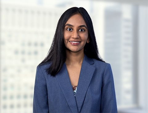 Krishna Akarapu