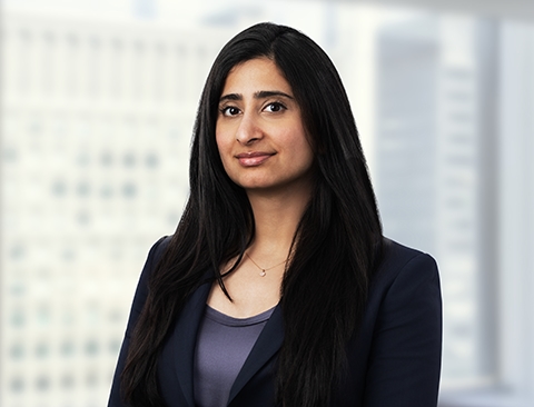 Misha Daha bio thumbnail