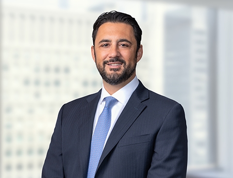 Fernando L. Tamayo